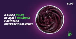 polpa de fruta orgânica do açaí