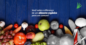 Você sabe a diferença de um alimento orgânico para um “comum”?